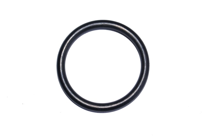 AGCO | O-Ring, Disc Brake, Ø 267 X 3 Mm - X549041100000 main image 1
